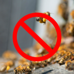 What Kills Ground Bees Instantly: Effective Solutions